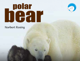 Polar